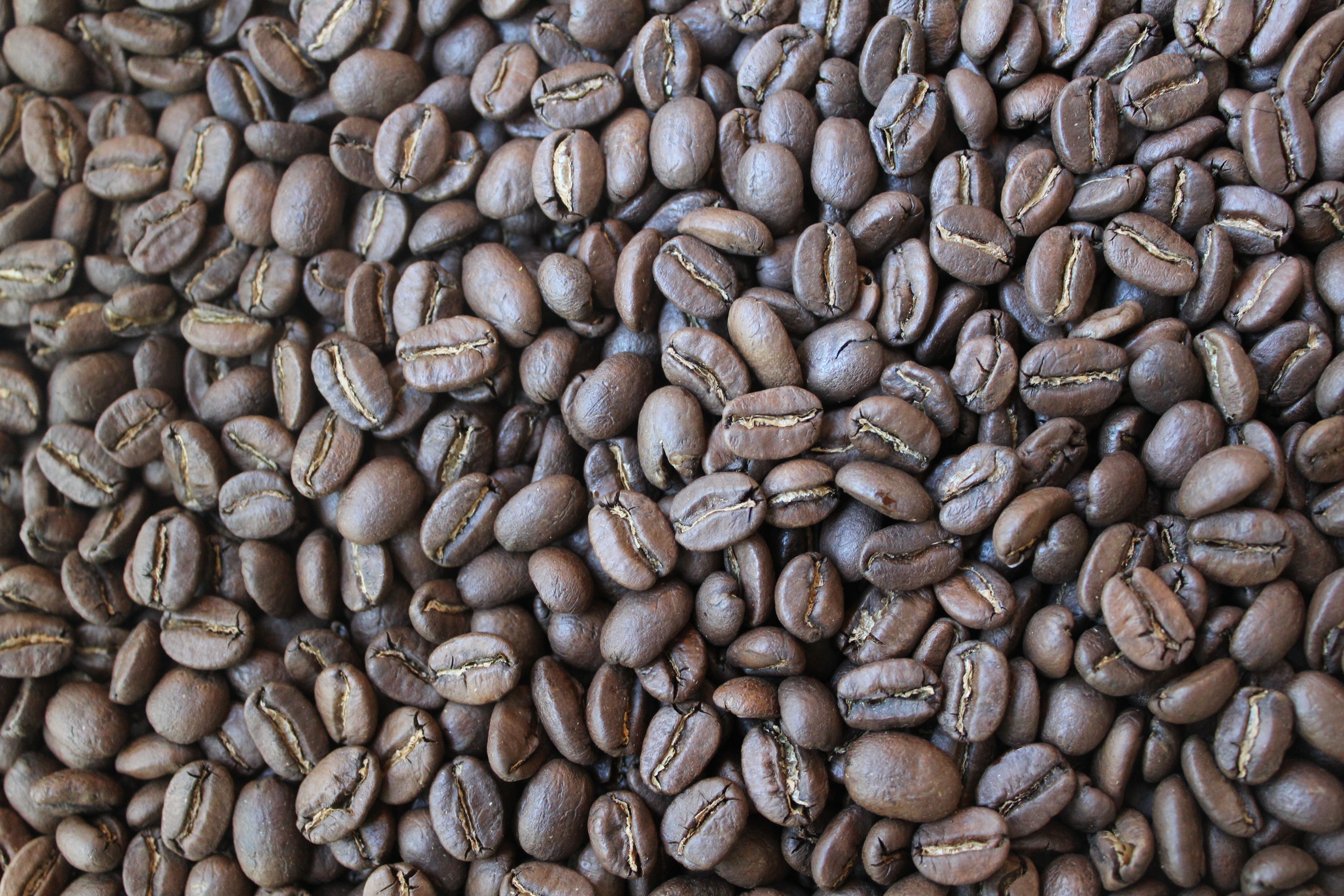 100% Arabika (single origin)